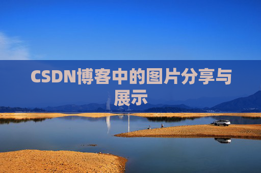 CSDN博客中的图片分享与展示